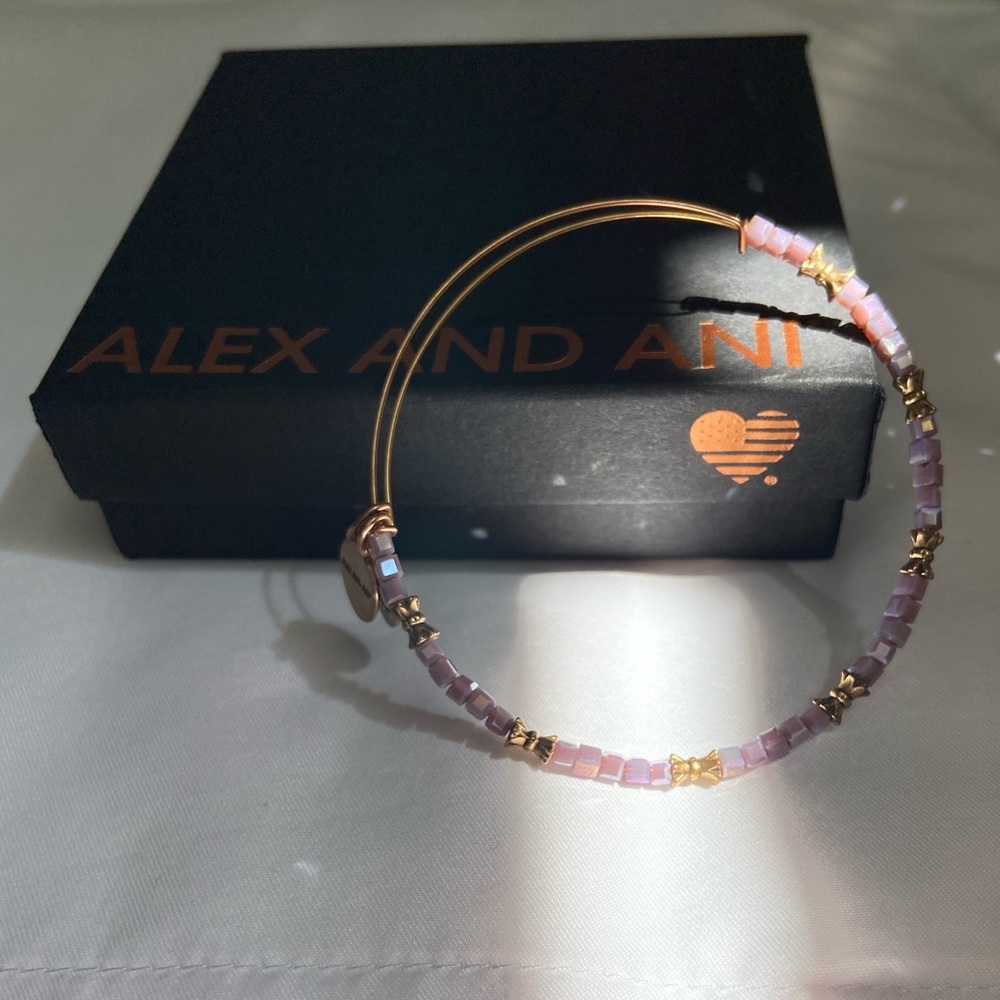 Alex And Ani Bracelet